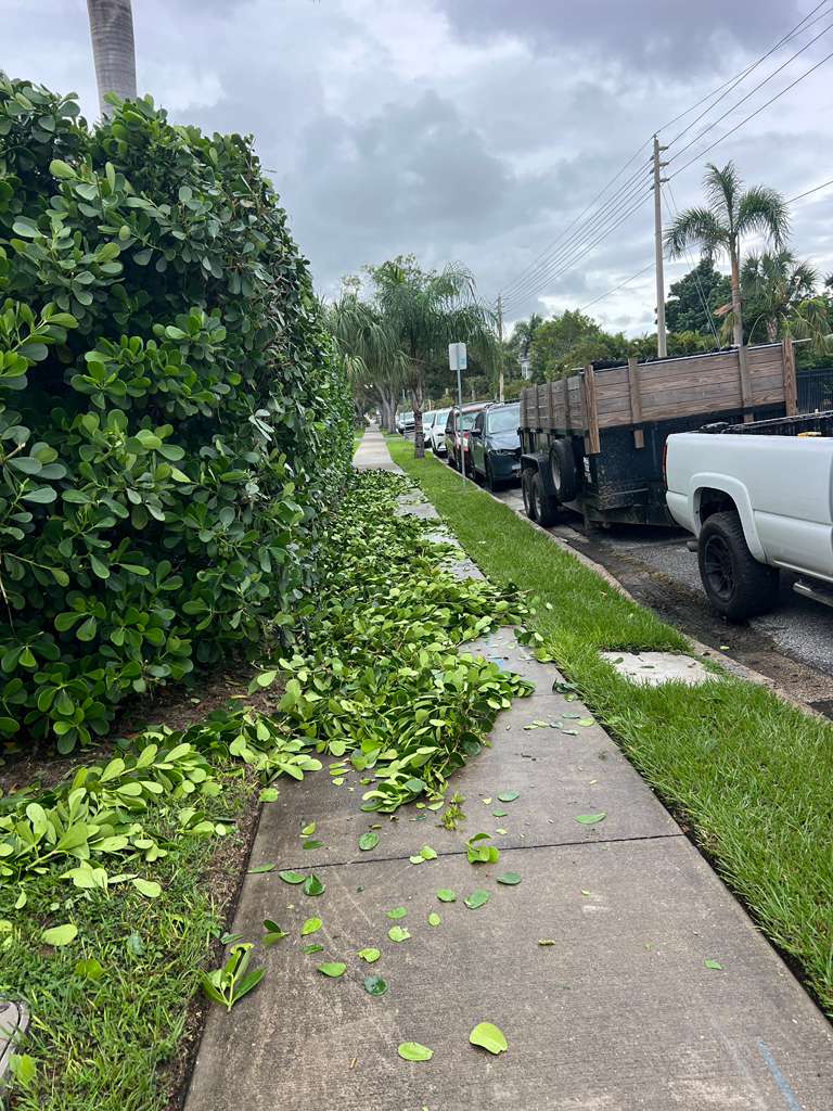Professional mowing service in Sarasota