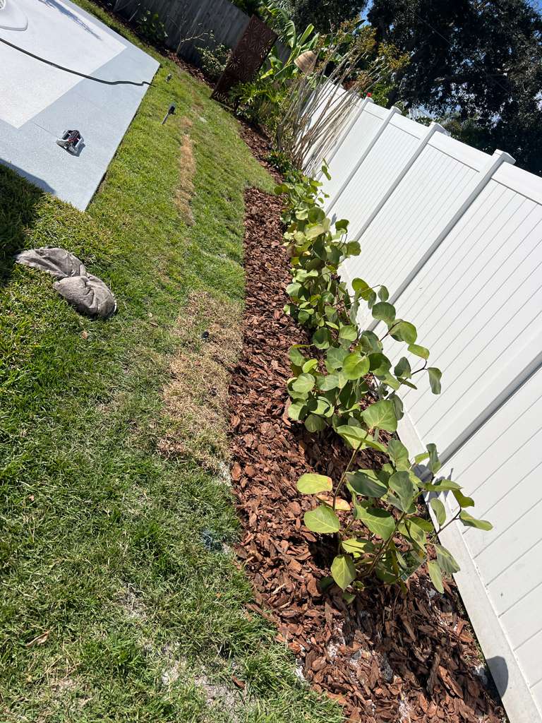 Sod installation on Florida property